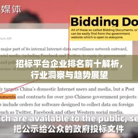 招标平台企业排名前十解析，行业洞察与趋势展望