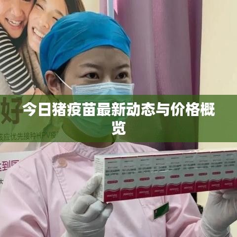 今日猪疫苗最新动态与价格概览