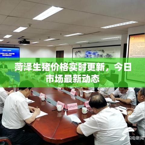 菏泽生猪价格实时更新,今日市场最新动态