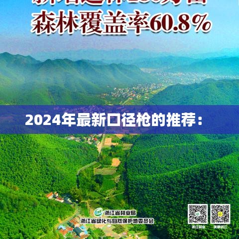 2024年最新口径枪的推荐： 