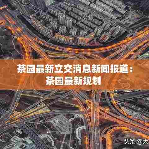 茶园最新立交消息新闻报道:茶园最新规划