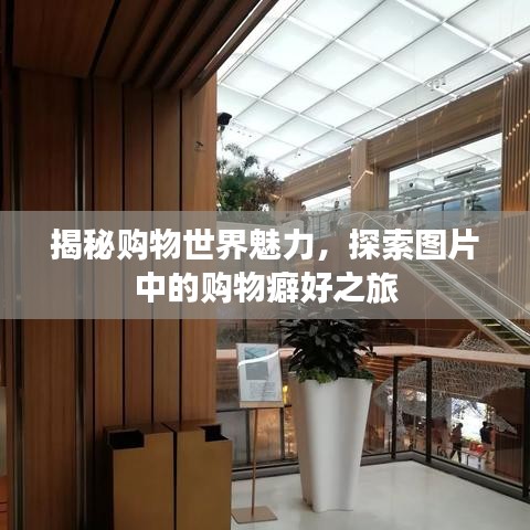 揭秘购物世界魅力，探索图片中的购物癖好之旅