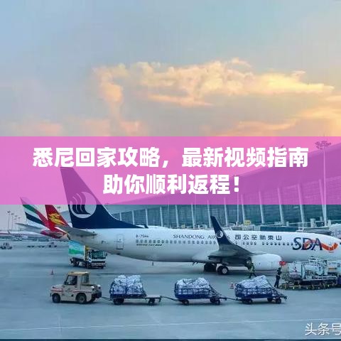 悉尼回家攻略,最新视频指南助你顺利返程!
