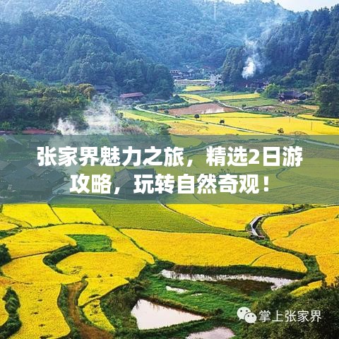 张家界魅力之旅,精选2日游攻略,玩转自然奇观!