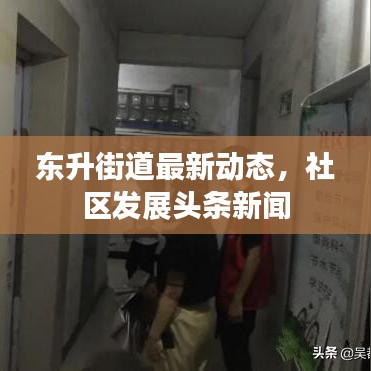东升街道最新动态，社区发展头条新闻