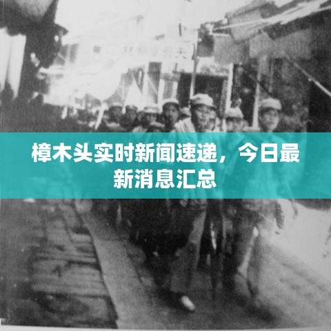 樟木头实时新闻速递,今日最新消息汇总