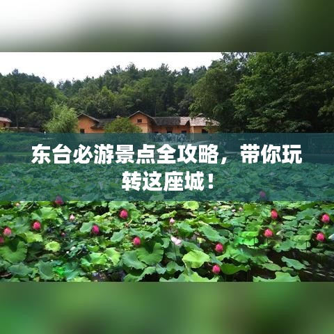 达官贵人 第4页