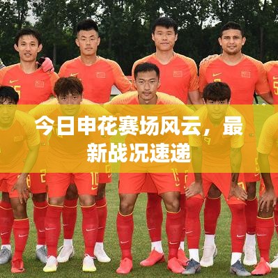 今日申花赛场风云,最新战况速递