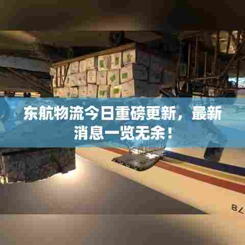 东航物流今日重磅更新,最新消息一览无余!