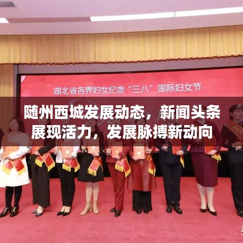 随州西城发展动态，新闻头条展现活力，发展脉搏新动向