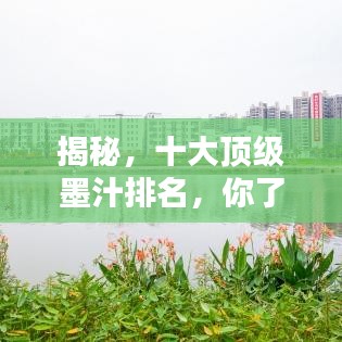 揭秘,十大顶级墨汁排名,你了解多少?