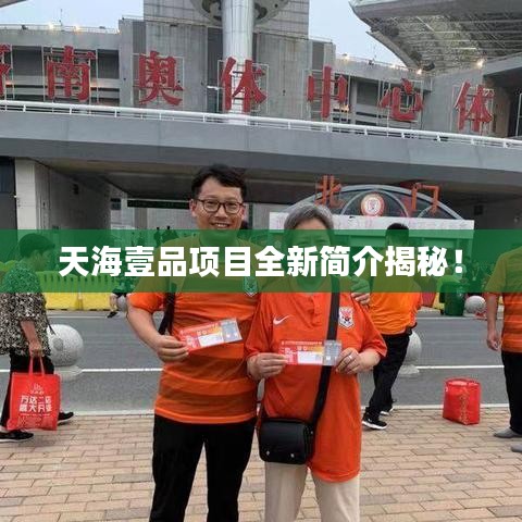 天海壹品项目全新简介揭秘!