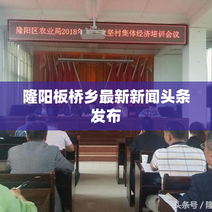 隆阳板桥乡最新新闻头条发布