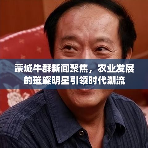 蒙城牛群新闻聚焦，农业发展的璀璨明星引领时代潮流