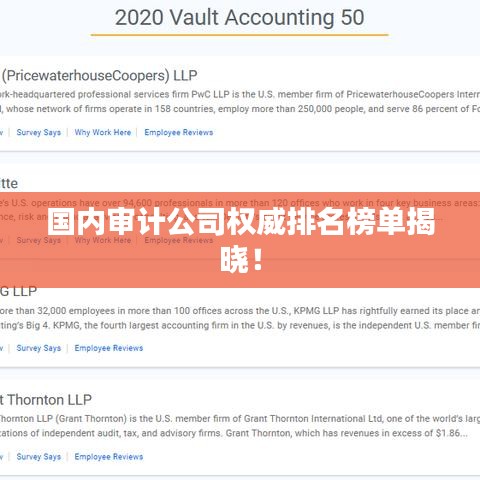 国内审计公司权威排名榜单揭晓!