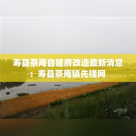 寿县茶庵自建房改造最新消息:寿县茶庵镇先锋网