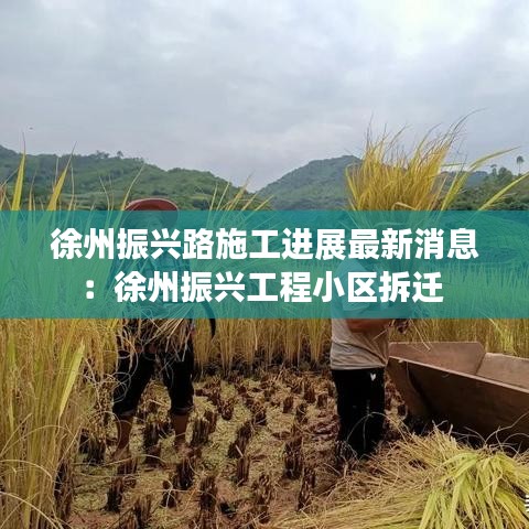 草间求活 第5页