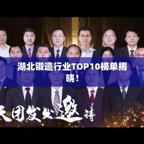 湖北锻造行业TOP10榜单揭晓!