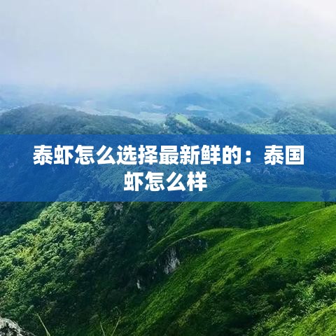 泰虾怎么选择最新鲜的:泰国虾怎么样