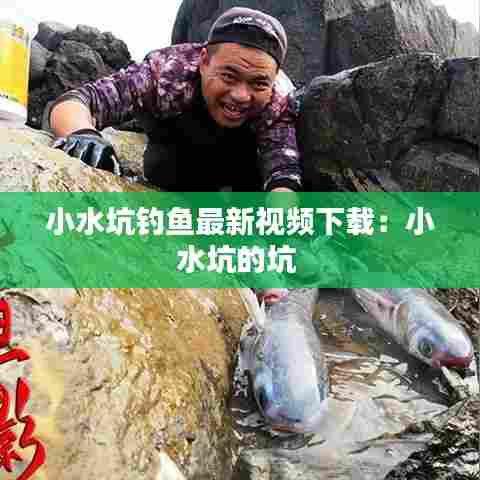 小水坑钓鱼最新视频下载:小水坑的坑