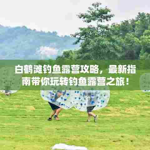 白鹤滩钓鱼露营攻略,最新指南带你玩转钓鱼露营之旅!