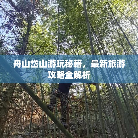 舟山岱山游玩秘籍,最新旅游攻略全解析
