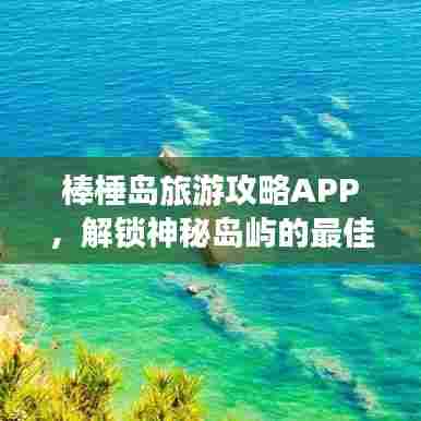 棒棰岛旅游攻略APP,解锁神秘岛屿的最佳探索伙伴!