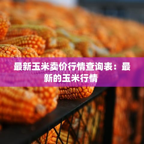 最新玉米卖价行情查询表：最新的玉米行情 
