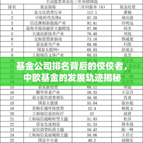 基金公司排名背后的佼佼者，中欧基金的发展轨迹揭秘