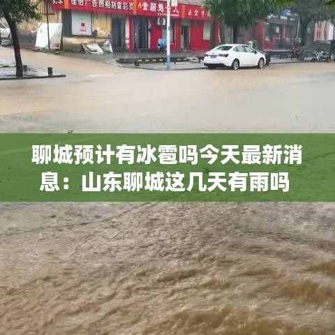 聊城预计有冰雹吗今天最新消息:山东聊城这几天有雨吗