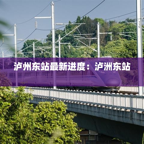 泸州东站最新进度：泸洲东站 