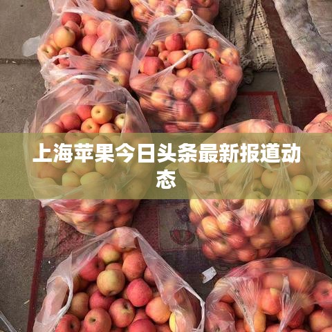 上海苹果今日头条最新报道动态
