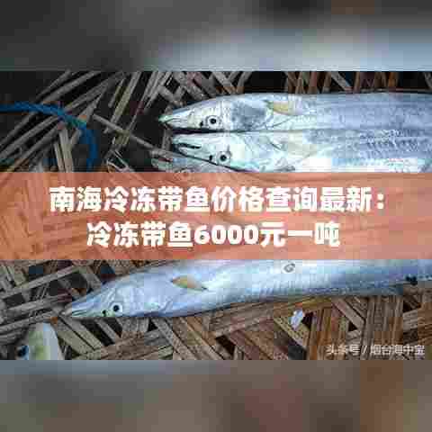 南海冷冻带鱼价格查询最新:冷冻带鱼6000元一吨