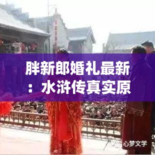 行疾如飞 第4页