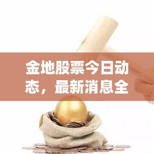 金地股票今日动态,最新消息全面解析