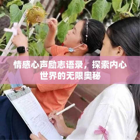 情感心声励志语录,探索内心世界的无限奥秘