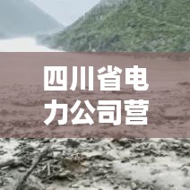 四川省电力公司营收排名大揭秘,领跑行业,业绩惊人!