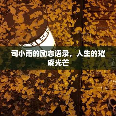 司小雨的励志语录,人生的璀璨光芒