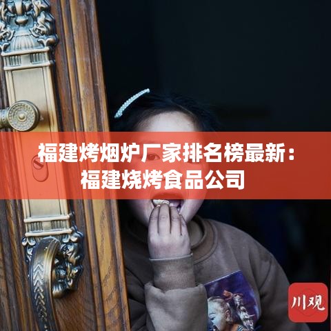 福建烤烟炉厂家排名榜最新:福建烧烤食品公司