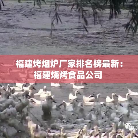 福建烤烟炉厂家排名榜最新:福建烧烤食品公司