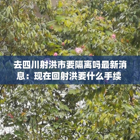 去四川射洪市要隔离吗最新消息:现在回射洪要什么手续