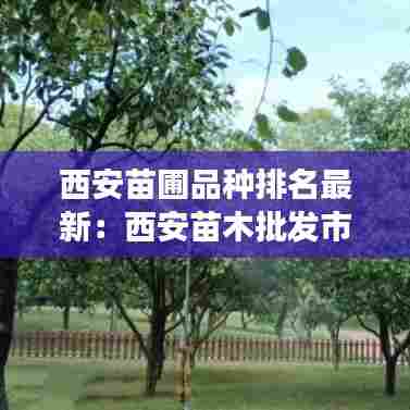 西安苗圃品种排名最新:西安苗木批发市场在哪里