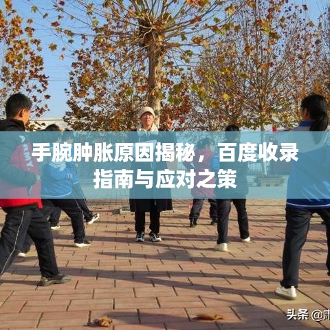 手腕肿胀原因揭秘,百度收录指南与应对之策