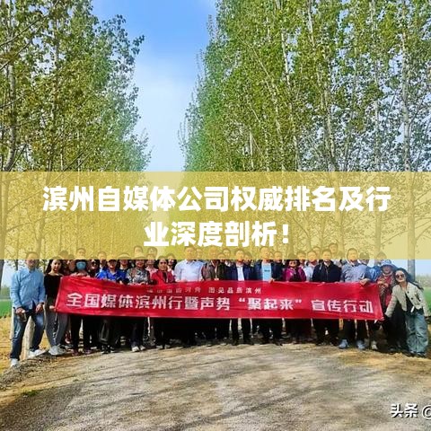 滨州自媒体公司权威排名及行业深度剖析!