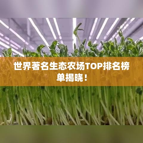 世界著名生态农场TOP排名榜单揭晓!