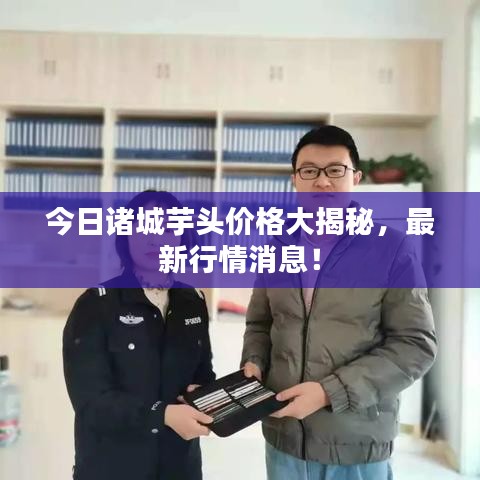今日诸城芋头价格大揭秘，最新行情消息！