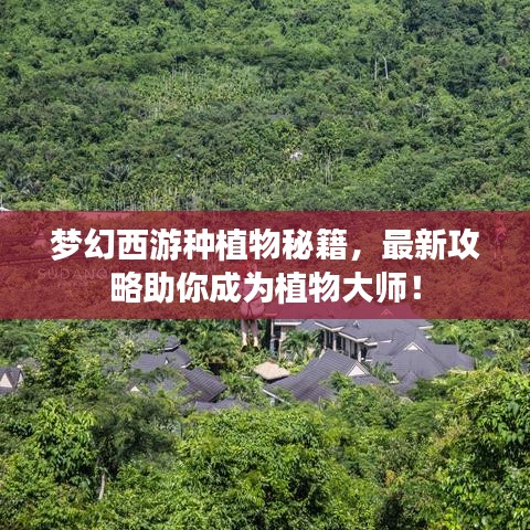 梦幻西游种植物秘籍,最新攻略助你成为植物大师!