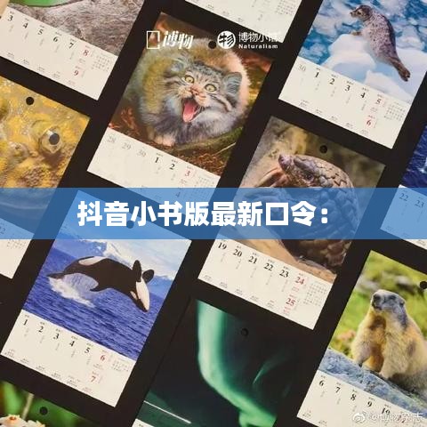 抖音小书版最新口令： 