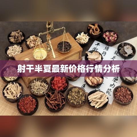 射干半夏最新价格行情分析