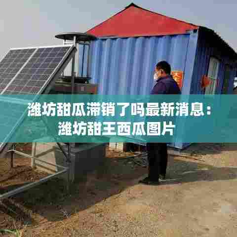 潍坊甜瓜滞销了吗最新消息：潍坊甜王西瓜图片 